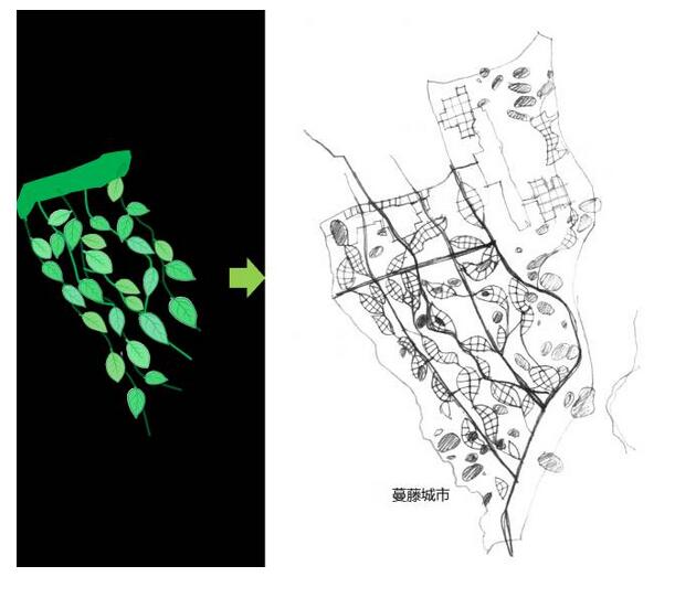 中国工程院院士崔恺蔓藤城市是一种新型田园城市的规划模式